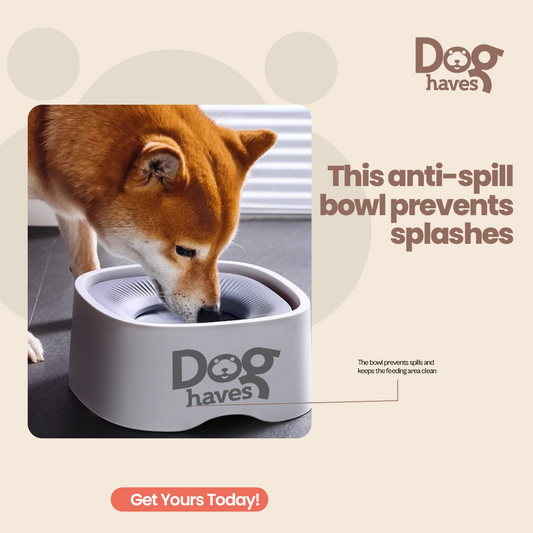 Slow Feeder Dog Bowl